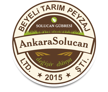 Ankara Solucan Gübresi