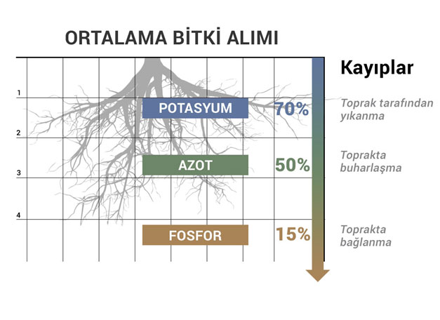 Gübre Element Verimliliği ve Kayıplar