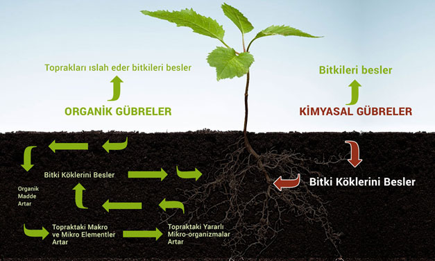 Kimyasal gübreler ile organik gübreler arasındaki fark