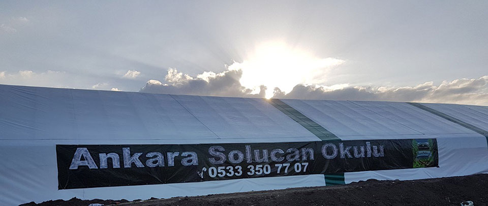 Ankara solucan ve solucan gübresi üretim okulu